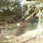 100_6802.jpg