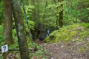 DSC02667